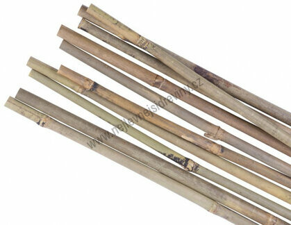 Tyč Garden KBT 2100/12-14 mm, bambus, opěrná k rostlinám